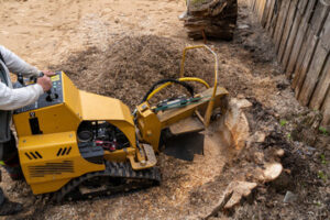 Tree Stump Removal